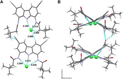 Boosting Anion Transport Activity of Diamidocarbazoles by Electron Withdrawing Substituents